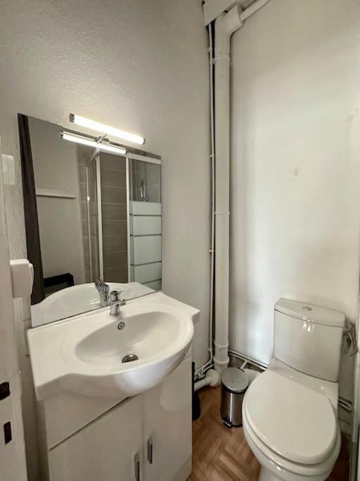 Duplex Centre Ville - Dabnb Лімож Екстер'єр фото