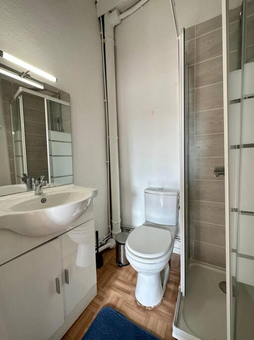 Duplex Centre Ville - Dabnb Лімож Екстер'єр фото